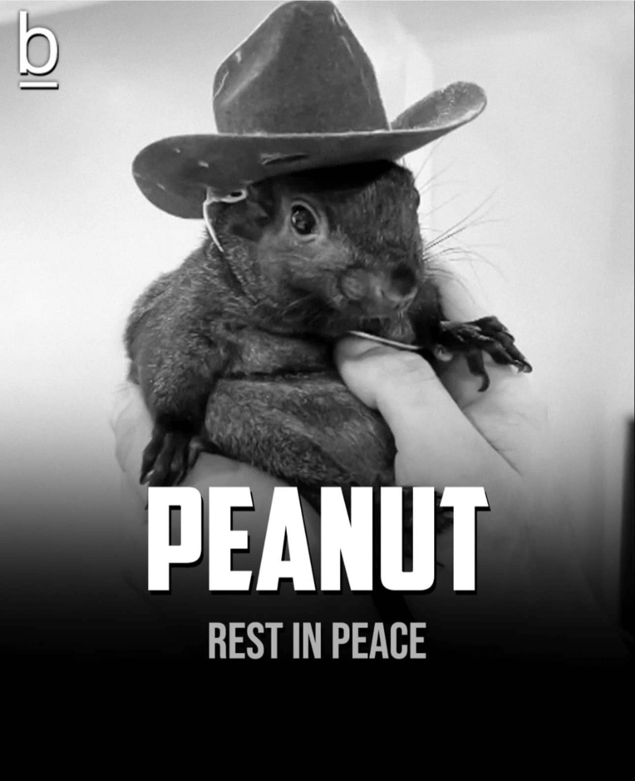 peanut